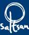 Saltsan
